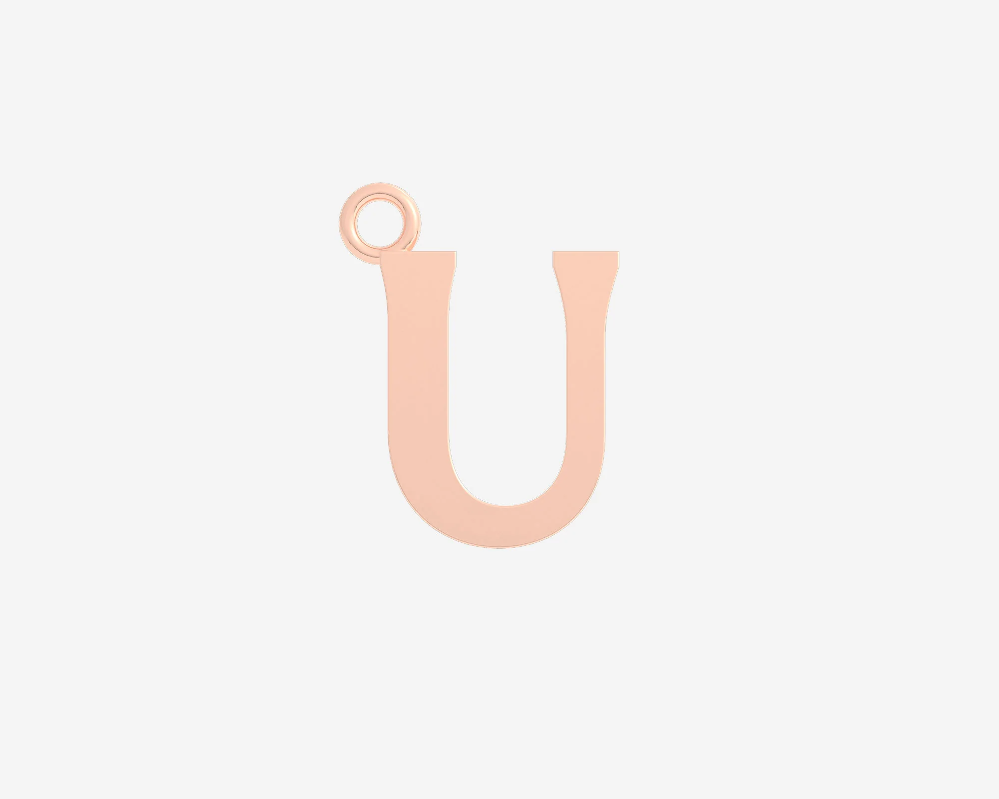 The Large Letter Charm - Image 63
