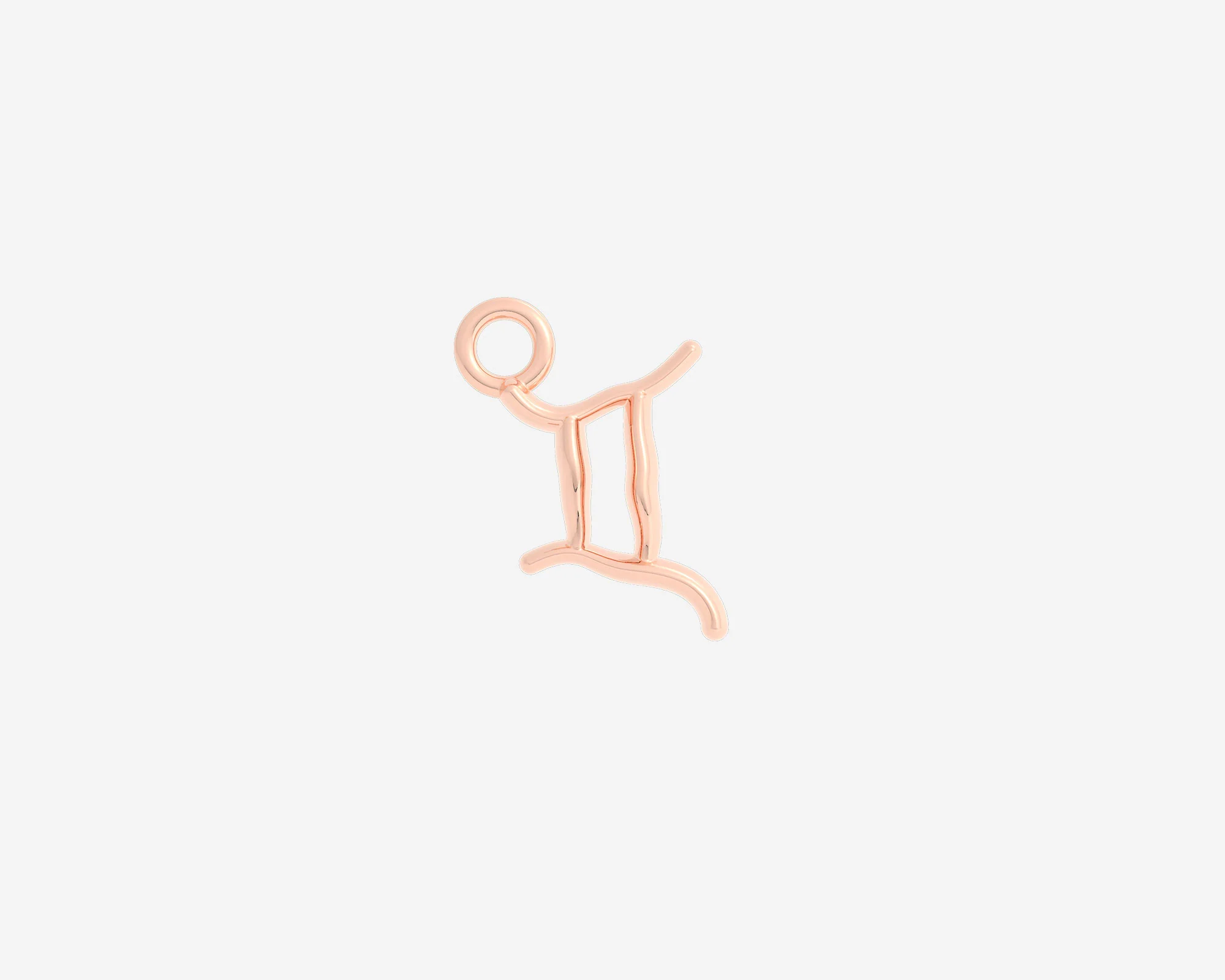 The Organic Zodiac Charm - Image 15