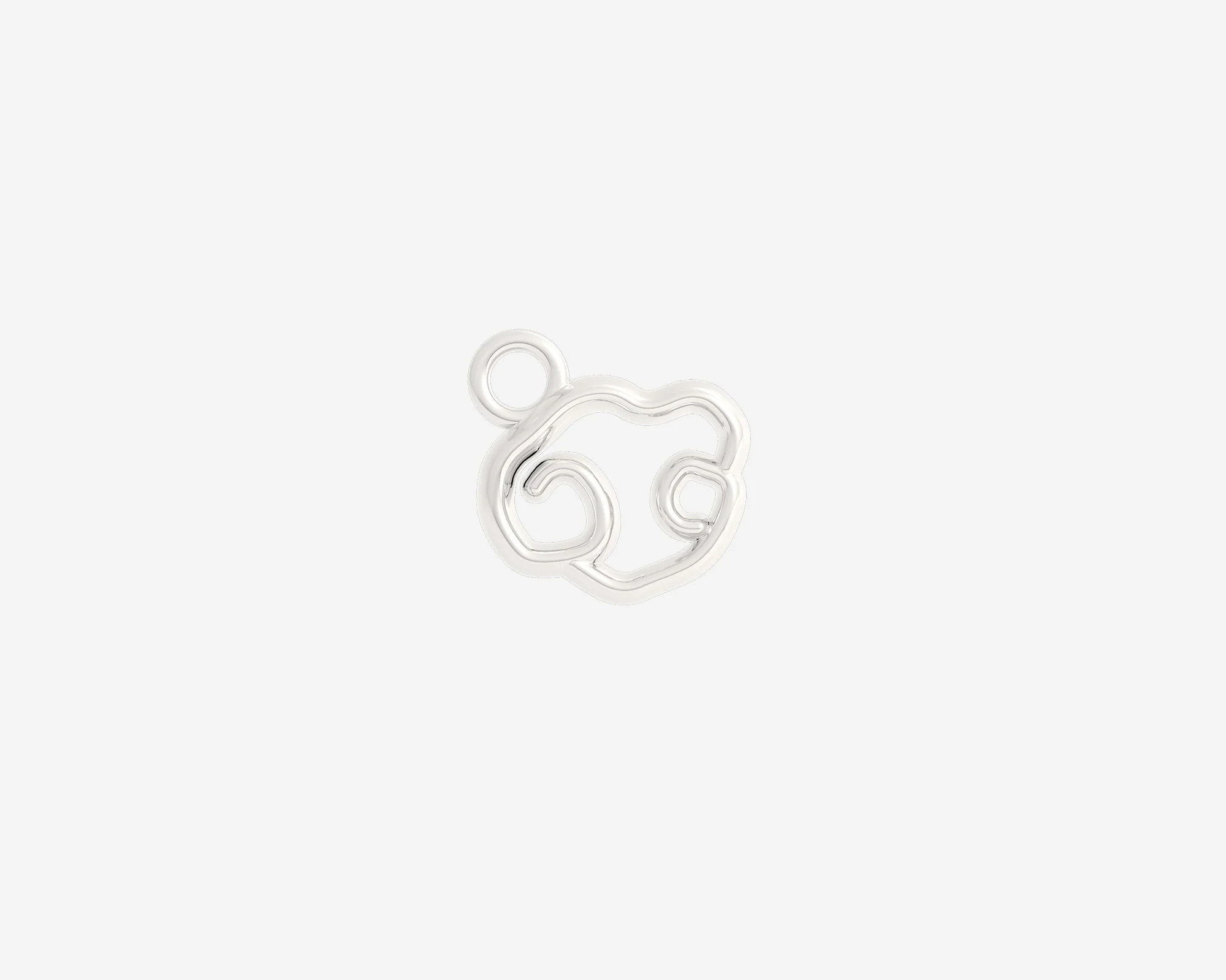 The Organic Zodiac Charm - Image 20