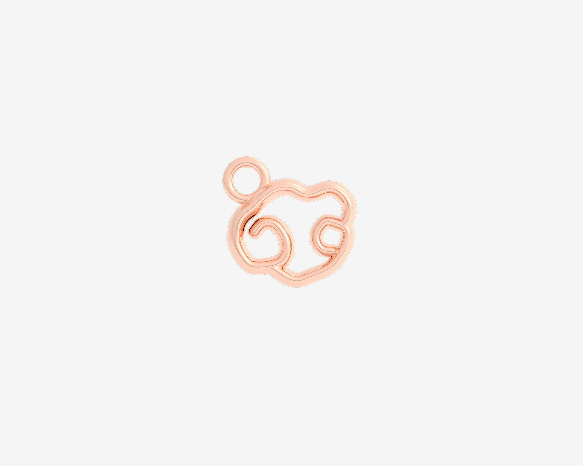 The Organic Zodiac Charm - Image 21