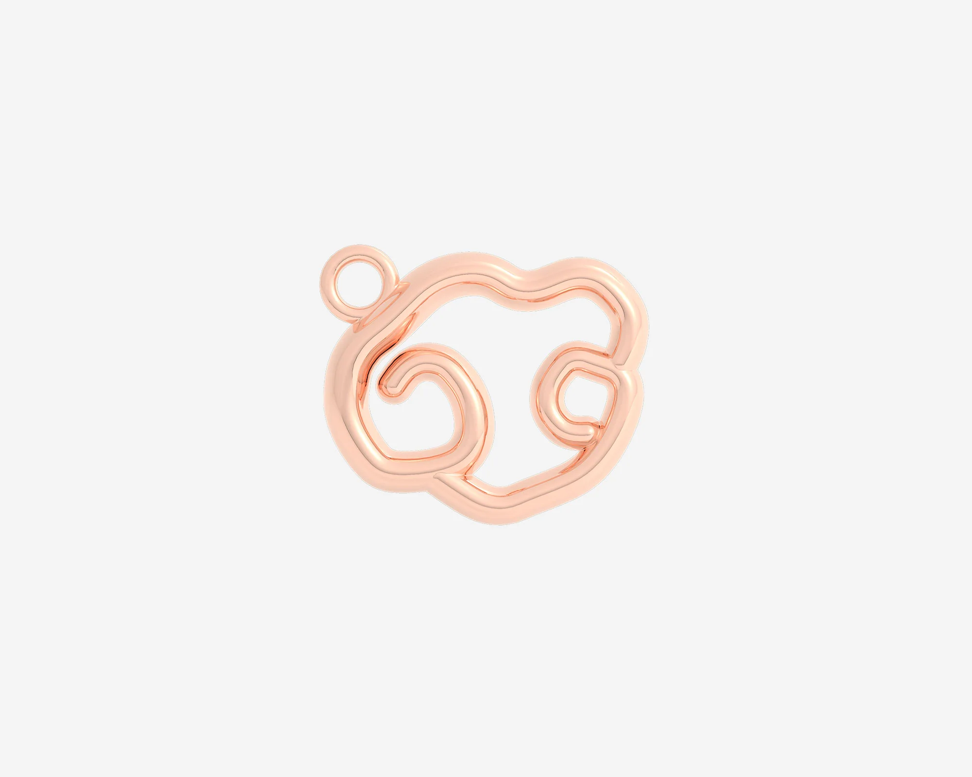 The Organic Zodiac Charm - Image 24