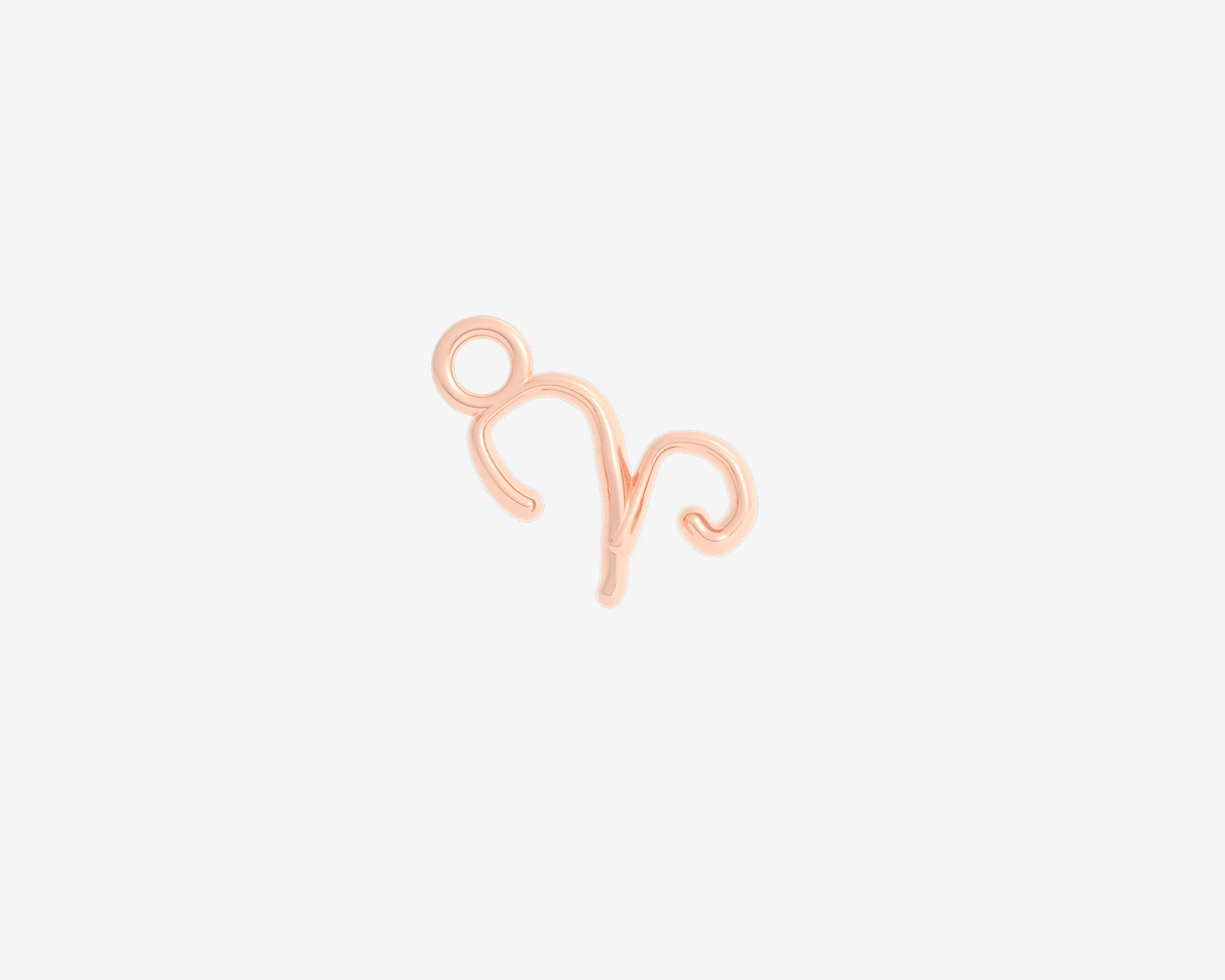 The Organic Zodiac Charm - Image 3