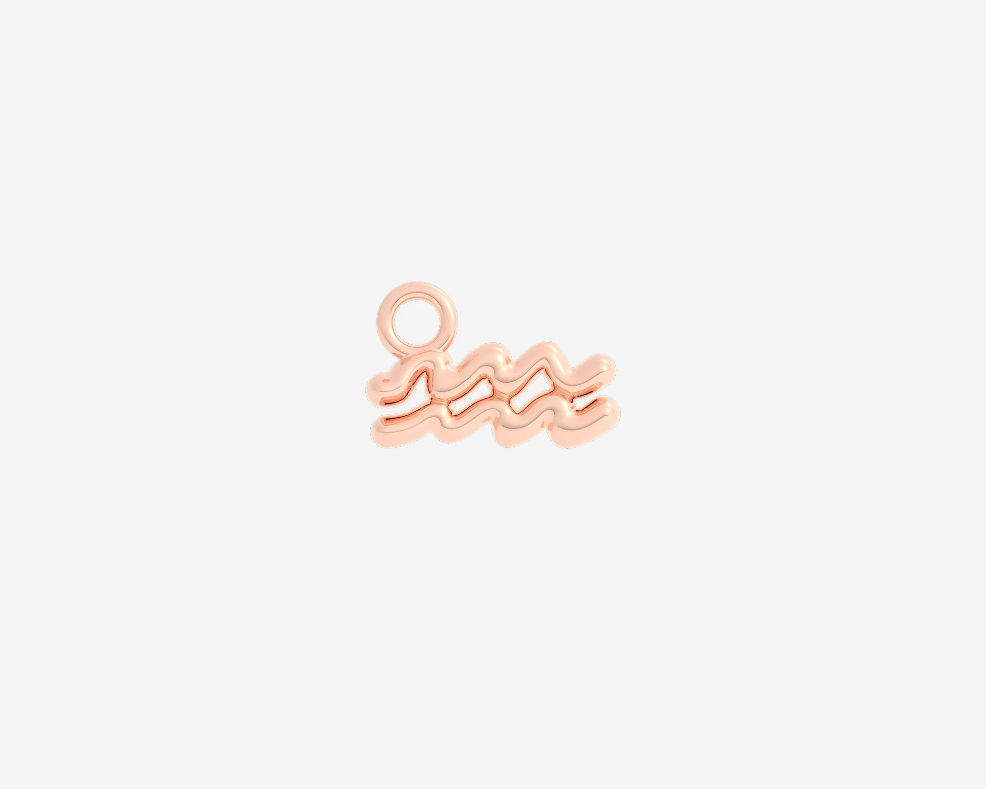 The Organic Zodiac Charm - Image 63